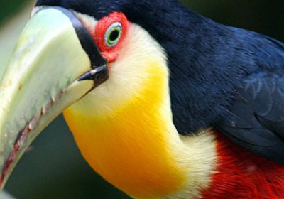 Parque Estadual traz atrações aos Turistas