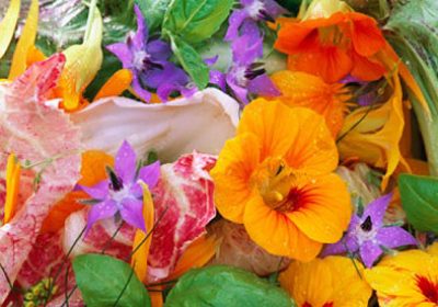 Flores: É prá ver ou pra comer?