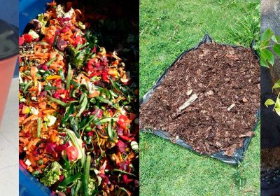 Compostagem também é saúde