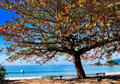 Ilhabela no Inverno: O Destino Perfeito para uma Viagem Aconchegante
