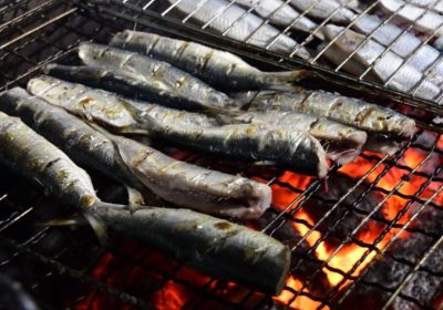 NOVA DATA: 13ª edição do Festival da Sardinha de Ilhabela acontece no feriado de Corpus Christi