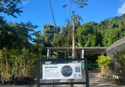Programação do Race Village promove educação ambiental na Semana de Vela de Ilhabela