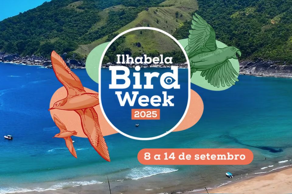 Ilhabela realiza Bird Week 2025 com programação especial de observação de aves e educação ambiental